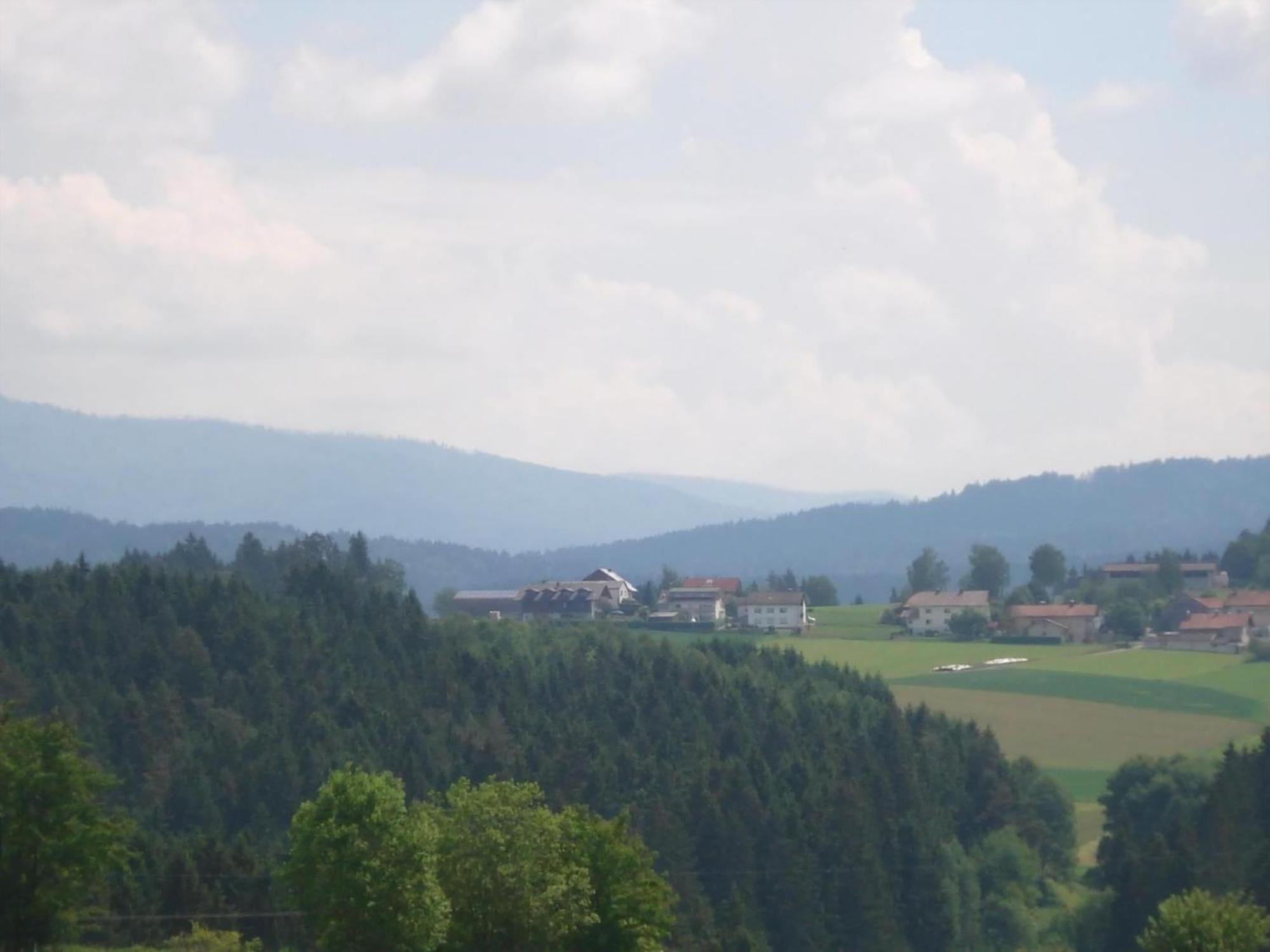 Ferienwohnung Rachel Mit Herrlichem Ausblick Rinchnach Exteriér fotografie